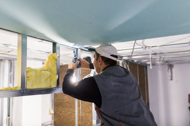 Best Crawl Space Insulation  in Ithaca, NY