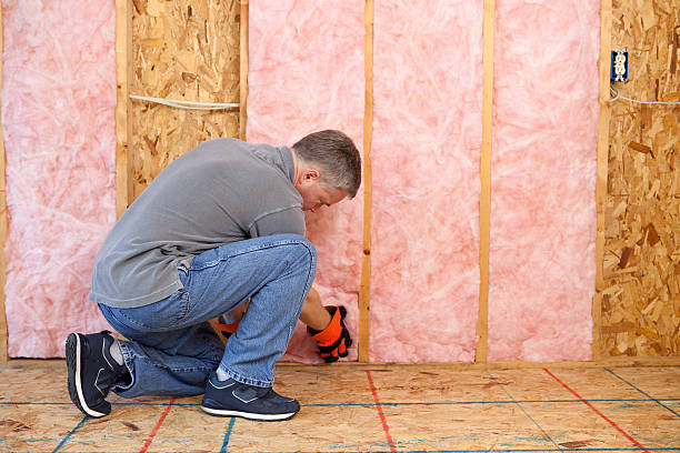 Best Affordable Insulation Services  in Ithaca, NY