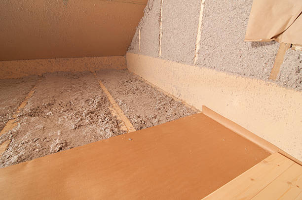 Best Home Insulation Services  in Ithaca, NY