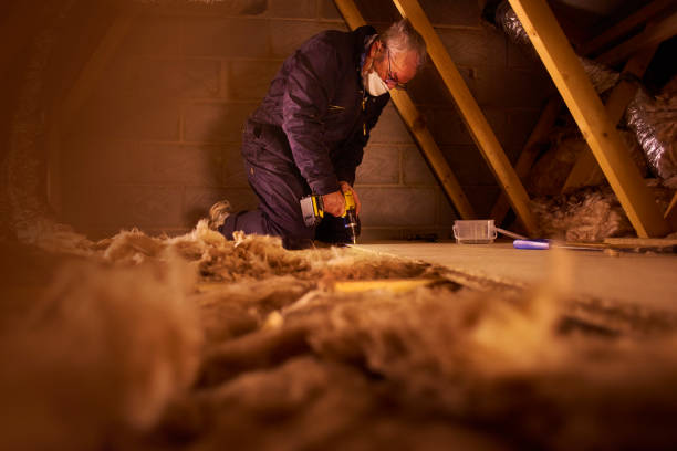 Best Energy-efficient Insulation  in Ithaca, NY