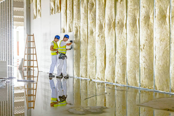 Best Spray Foam Insulation  in Ithaca, NY